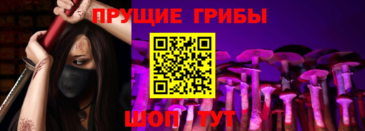 Псилоцибиновые грибы MAGIC MUSHROOMS  даркнет сайт  Кузнецк  Вход с VPN 